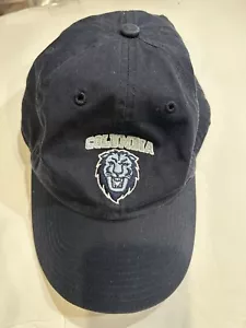 COLUMBIA UNIVERSITY LIONS NAVY ADULT RELAXED TWILL HAT OSFA Adjustable - Picture 1 of 8