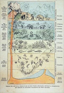 TABLEAU des ÂGES de la TERRE (GÉOLOGIQUE & PALÉONTOLOGIE)- Gravure du 19e siècle - Picture 1 of 3