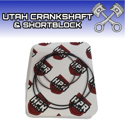 Polaris 650 Cylinder O-Rings 2021-2026 SKS Switchback XCR Indy VR XC RMK 5417079 - Image 1 of 4