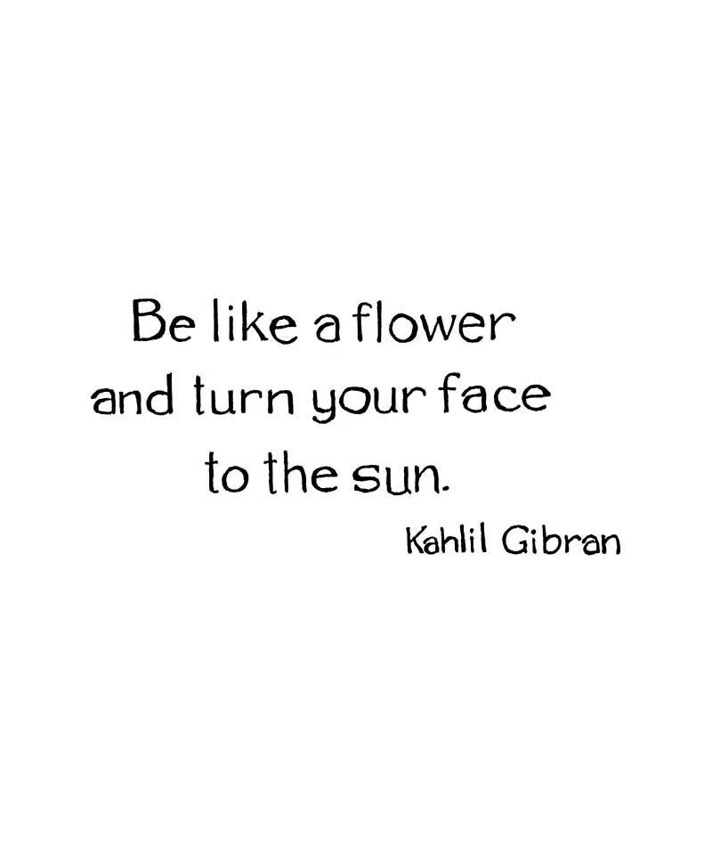 Sello de goma montado en madera Flower Face to the Sun diciendo NORTHWOODS D11328 nuevo Foto 1 de 1