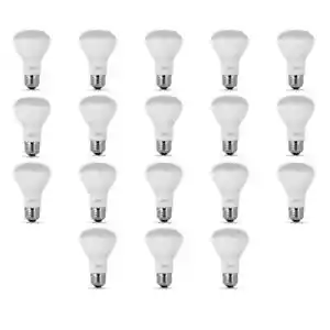 Feit Electric 45-Watt Equivalent E26LED Light Bulb, Soft White 2700K (18-Pack) - Picture 1 of 6