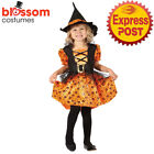 TM369 Toddler Pretty Orange Witch Girls Child Costume Hat Halloween Book Week