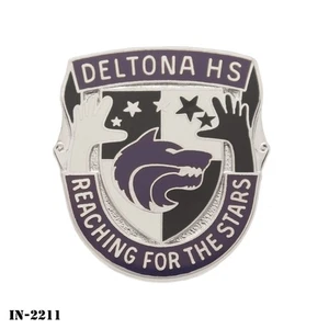 Deltona High School ~ US Army JROTC DUI Crest Pin ~ NEW ~ Vanguard USA - Picture 1 of 2