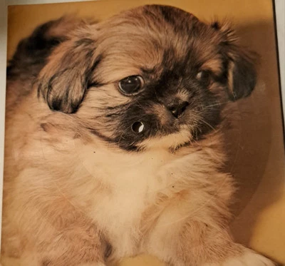 Flexi Joe Dolan Santa Esmeralda (1978)  - Bild 1 von 2