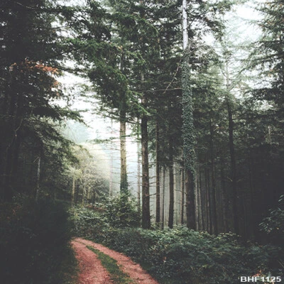 Outdoor 10'x10' Computer/digital Vinyl Scenic Photo Background Backdrop BHF1125 - Image 1 of 3