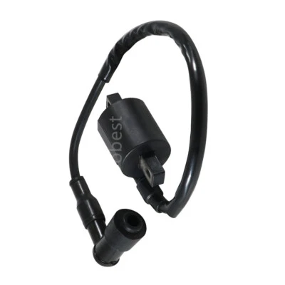 Bobina de encendido Yamaha YFM250 Bear Tracker 2X4 1999-2004 YFM250 Bruin 250 2X4 Foto 1 de 4