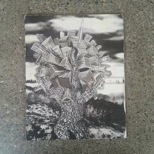 Doug Rhodos Baumstadt schwarz weiß Foto Holzmontage moderne Kunst signiert 2013 8x10 - Bild 1 von 11