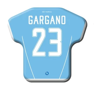 Calamita Simile a T-Shirt Calcio Stagione 2007/2008 Napoli 23 Walter Gargano - Imagen 1 de 9
