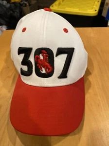 Wyoming 307 Hat HC 2 Champro L-XL C Fit - Picture 1 of 5