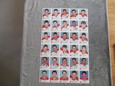 Original 1987-88 Calgary Flames Red Rooster Hull Rookie NHL Hockey Uncut Sheets