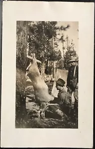 Echt Foto Postkarte RPPC Jäger 12 Punkt Buck ~ San Francisco Expo abbrechen ~ Jagd - Bild 1 von 2