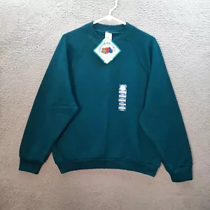 Vintage Fruit Of The Loom Sweater Womens Large Blue Crewneck Sweatshirt 1990s - Picture 1 of 10