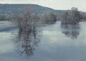 57 VALLEE DE LA MOSELLE - Imagen 1 de 2