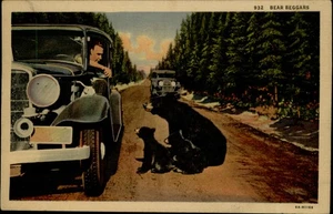 Tarjeta postal de colección Bear Beggars Spokane Washington h564 - Imagen 1 de 2
