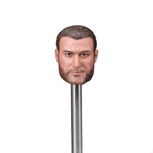 1/6 Logan Wolverine Liev Schreiber Head Sculpt Fit 12in Male Action Figure Model - Picture 1 of 9