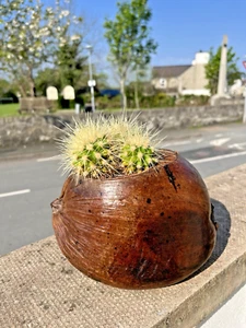 UNUSUAL VINTAGE TURNED COCONUT SHELL HUSK BOWL CANDLE KEY PLANT POT HOLDER ? - Picture 1 of 10