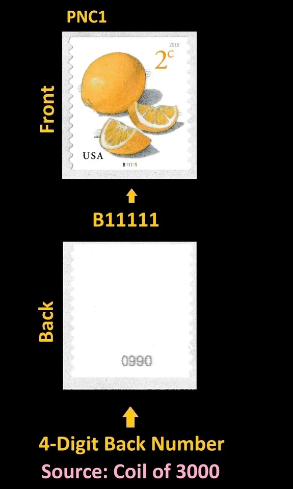 US 5256 Meyer Lemons 2c #on# PNC1 B11111 4d back # MNH 2018 - Image 1 of 1