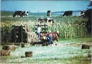 Amish Heartland Farming Ohio Postcard Unposted - Picture 1 of 2