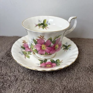Royal Albert Prairie Rose Vintage Bone China aus England Tasse & Untertasse Set - Bild 1 von 12