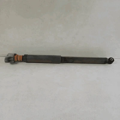 1468800 Ammortizzatore post. SX FORD C-MAX (CB3) 1.6 TDCi DPF (80Kw) Mnv - Immagine 1 di 4