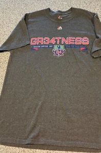 David Ortiz Big Papi graues T-Shirt Größe Large letzte Saison Red Sox - Bild 1 von 3