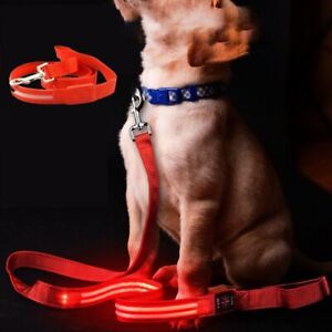 Nylon LED Light Up Dog Leash Adjustable Dog Glowing Walking Rope  At Night