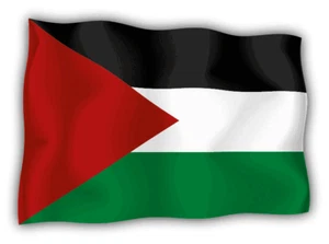 Calcomanía pegatina para parachoques de coche con bandera de ola palestina - Imagen 1 de 1