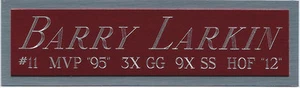 BARRY LARKIN CINCINNATI REDS NAMEPLATE FOR AUTOGRAPHED SIGNED BASEBALL JERSEY - Picture 1 of 3