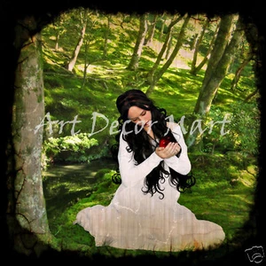 Snow White     - CANVAS OR PRINT WALL ART - Picture 1 of 1