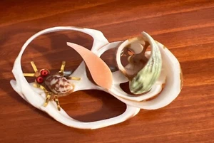 Handcrafted Seashell Brooch Center Cut Gold-Toned Crab Natural Shell Accents 2" - Picture 1 of 4