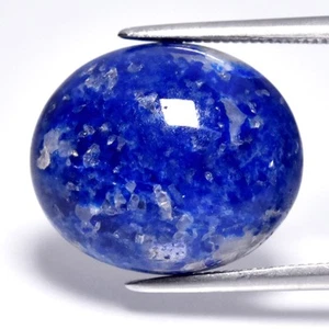 💎 8.93ct 14.7x12.5mm Oval Cabochon Natural Blue Lapis Lazuli - Africa Gemstone - Picture 1 of 4