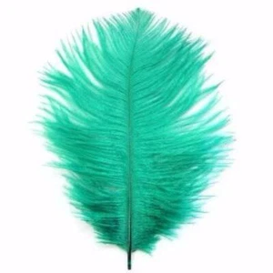 Ostrich Feather Drab 6-15cm x 5 - Green ((SECONDS)) - Picture 1 of 1
