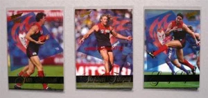 SCARCE 1995 LIMITED EDITION AFL Select Sensation Team Set Melbourne Demons - Picture 1 of 1