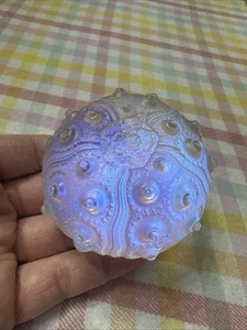 Fermacarte in vetro artistico dicroico iridescente riccio di mare Robin Lehman - Foto 1 di 10