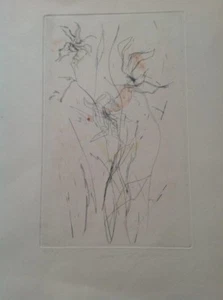 Incisione di Treccani Ernesto 50x35 numerata e firmata - Foto 1 di 1