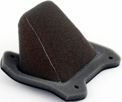 Twin Air Backfire Replacement Air Filter 158013FR 630610 - Image 1 of 3