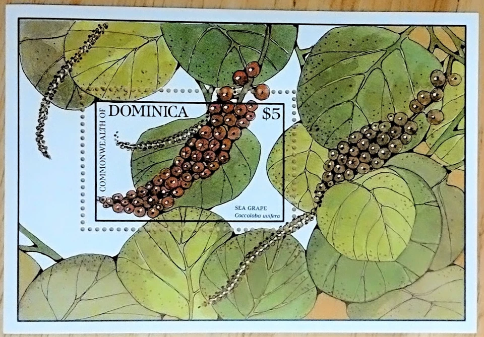 VINTAGE CLASSICS - Dominica 1988 - Trees, Sea Grape - S/S - Scott 1110 - MNH - Image 1 of 1