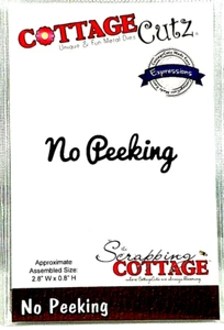 No Peeking Phrase Christmas Presents Gifts Children Toys CottageCutz Metal Die - Picture 1 of 1