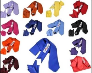 Ensemble Assorti Cravate Slim 5 Et Sac à Main Soie Couleur Unie Mouchoir M Italy - Imagen 1 de 29