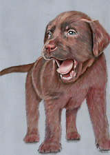 Original colored pencil artwork picture Chocolate Labrador puppy dog with collar