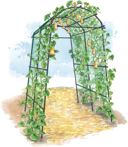 Gardener’S Supply Company Extra Tall Garden Arch Arbor 80In Titan Squash Tunnel - Picture 1 of 9