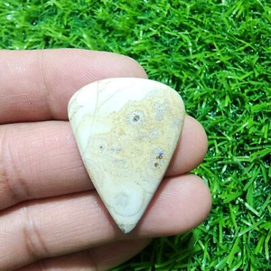 Wonderful Crazy Lace Agate Pear Shape 37.25 Carat Loose Gemstone For Jewelry - Picture 1 of 9