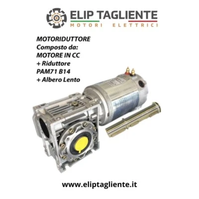 MOTORREDUCTOR 12V 400W 100RPM SALPA PALAMITO SALPARETE VERRICULO DC A BATERÍA - Imagen 1 de 4