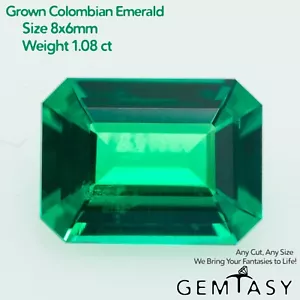 Piedra tallada - Esmeralda colombiana laboratorio hidrotermal creado, octágono 8x6mm 1,08ct - Imagen 1 de 4