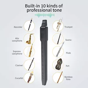BT Digital Electronic Wind Instrument Rechargeable Supports 10 Tones Black R3N1 - Picture 1 of 12