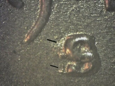 1949-S LINCOLN CENT RPM-001 S/S/S WEST GEM BU   FRE - Image 1 of 4