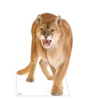 MOUNTAIN LION COUGAR PUMA LARGER THAN LIFESIZE CARDBOARD STANDUP STANDEE CUTOUT