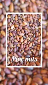 FRESH NEW CROP Pinenuts Nevada/Utah Soft Shell Pinyon Pine Nuts 2024 - 5LB - Picture 1 of 9