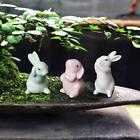 Rabbit Ornaments Miniature Figurines Home Garden Micro Landscape Decor E9J0