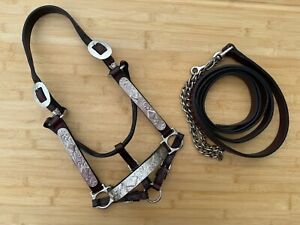 Stunning CIRCLE Y Silver Western Show Horse Halter w Lead  ~ 2 Year Old Size